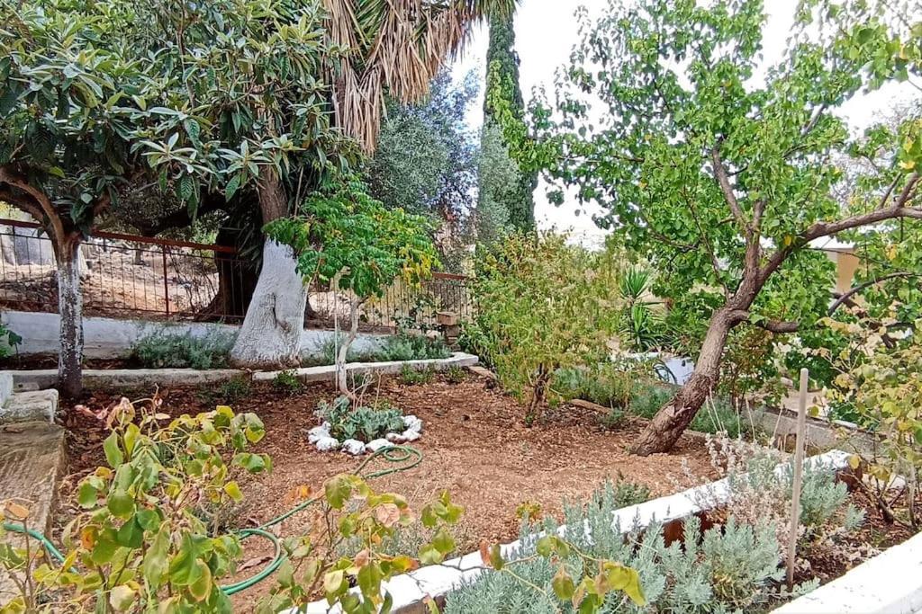 O Palaios Fournos Tou Andrea Apartment Argostoli  Ngoại thất bức ảnh